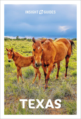 Cover image: Insight Guides Texas: Travel Guide 8th edition 9781839053801