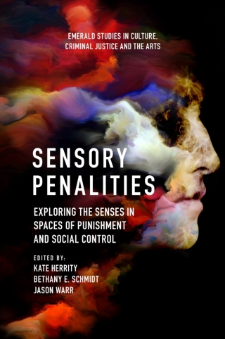 Omslagafbeelding: Sensory Penalities 9781839097270
