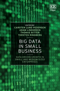 صورة الغلاف: Big Data in Small Business 1st edition 9781839100154