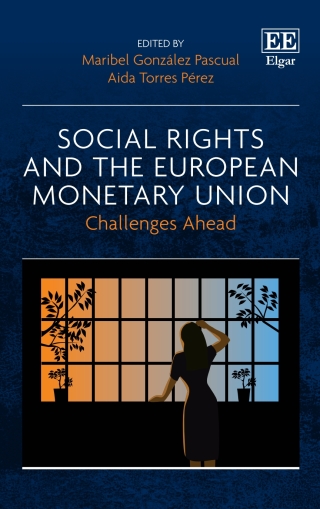 Imagen de portada: Social Rights and the European Monetary Union 1st edition 9781839105241