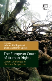 Cover image: The European Court of Human Rights 1st edition 9781839108334