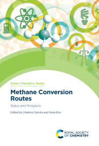 Imagen de portada: Methane Conversion Routes 1st edition 9781839160257