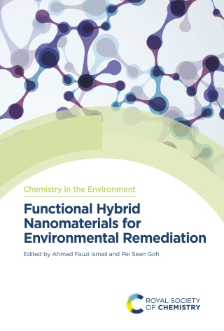 Cover image: Functional Hybrid Nanomaterials for Environmental Remediation 1st edition 9781839165283