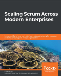 Cover image: Scaling Scrum Across Modern Enterprises 1st edition 9781839216473