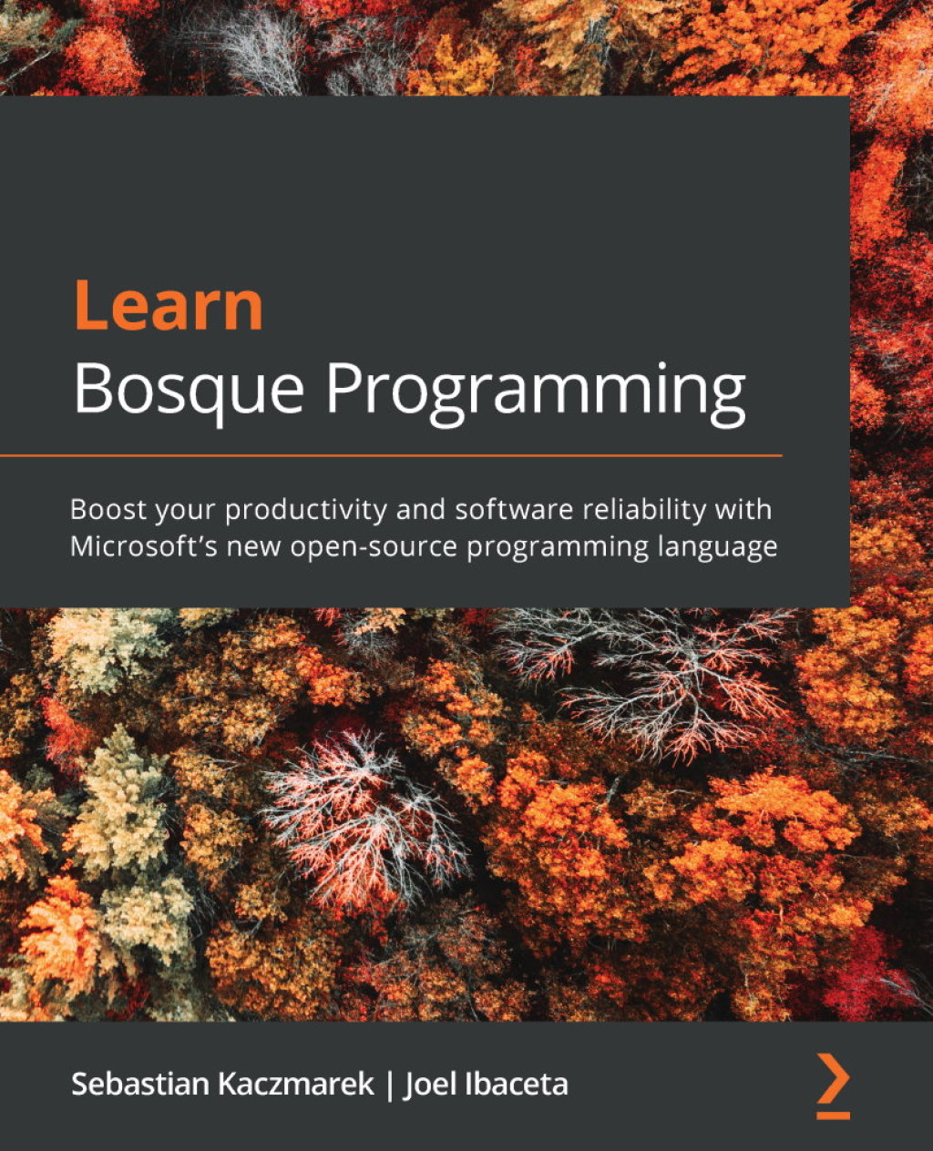 Learn Bosque Programming Boost your productivity and software reliability with Microsoft’s new open-source programming language 1st Edition