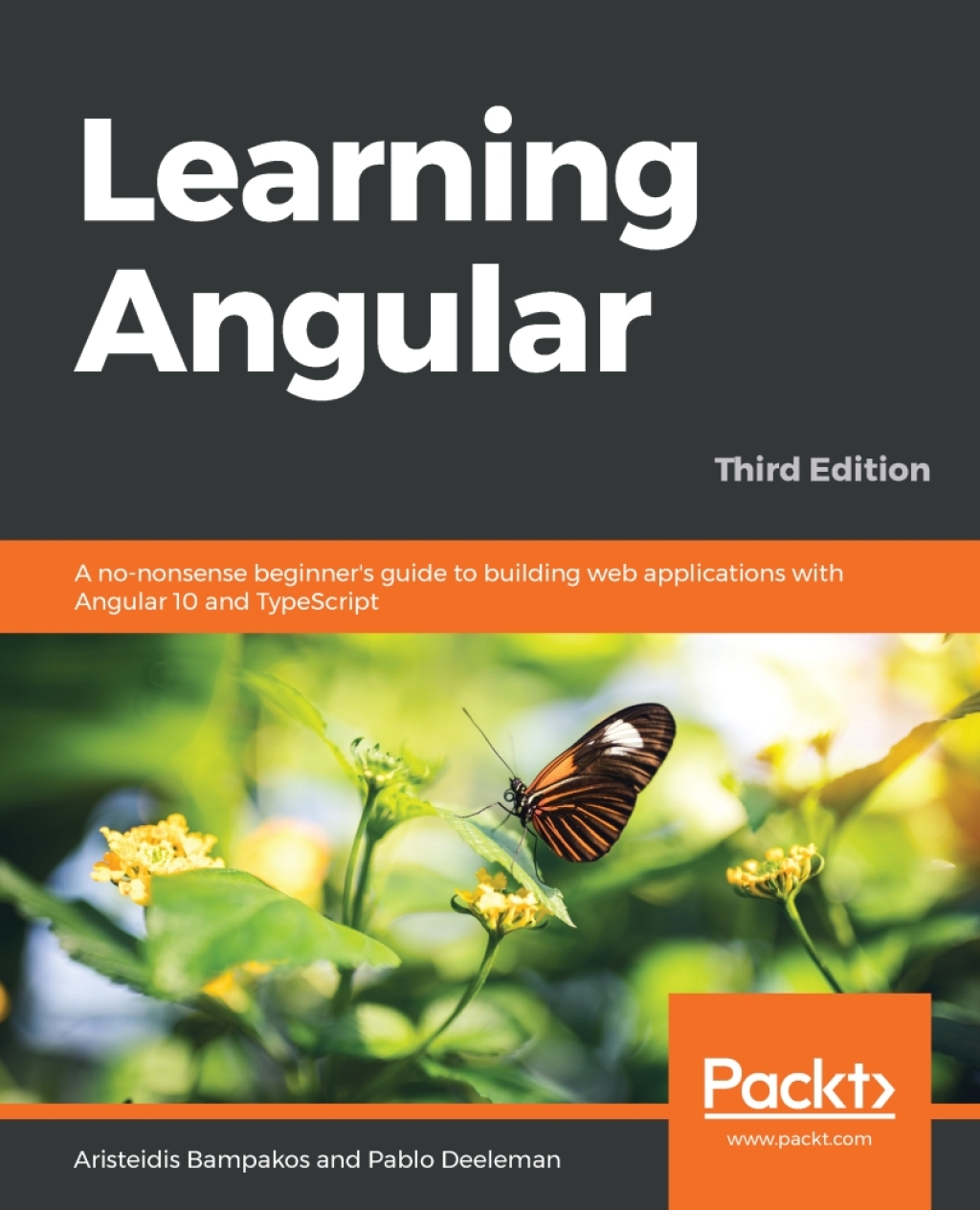 Learning Angular - 3rd Edition (eBook)