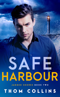 Cover image: Safe Harbour 9781839437526