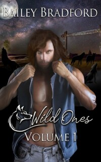 Cover image: Wild Ones 9781839433153