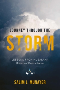 Omslagafbeelding: Journey through the Storm 9781839730238