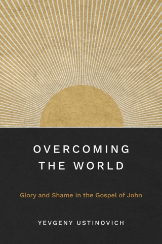 Cover image: Overcoming the World 9781839739279