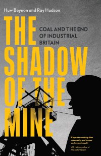 Cover image: The Shadow of the Mine 9781839761553