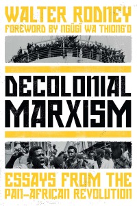 Cover image: Decolonial Marxism 2nd edition 9781839764110