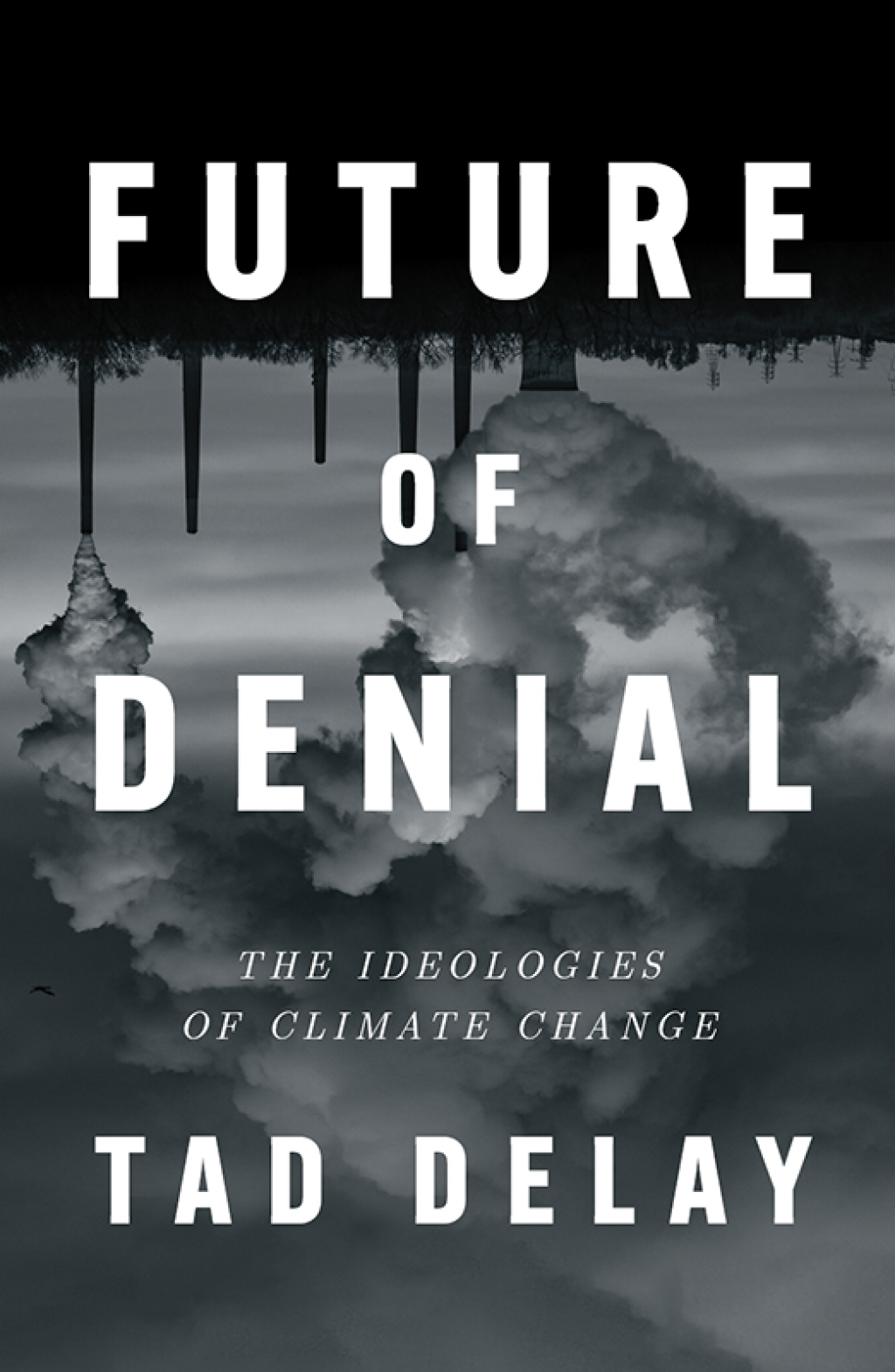 Future of Denial eBook