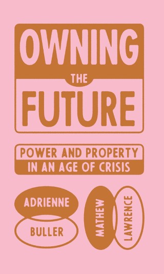 Cover image: Owning the Future 9781839765803
