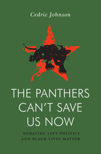 Imagen de portada: The Panthers Can't Save Us Now 9781839766305