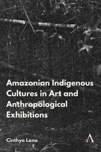 Omslagafbeelding: Amazonian Indigenous Cultures in Art and Anthropological Exhibitions 9781839981593