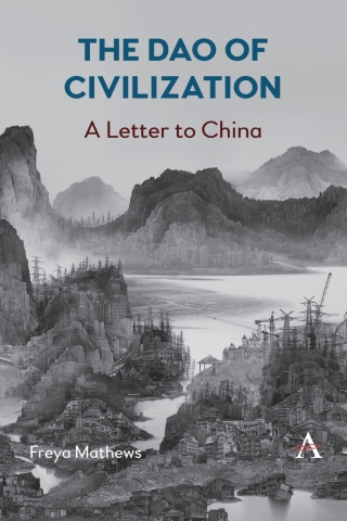 表紙画像: The Dao of Civilization 9781839984853