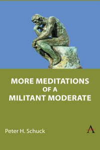 Cover image: More Meditations of a Militant Moderate 9781839988530