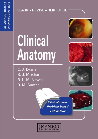 Immagine di copertina: Clinical Anatomy 1st edition 9781874545767