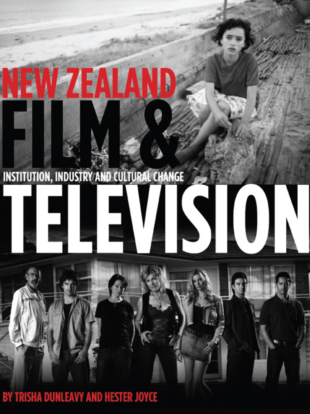 New Zealand Film and Television Institution, Industry and Cultural Change 1st Edition