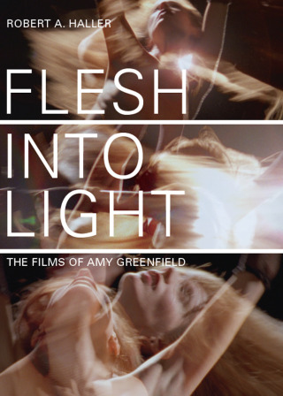 Cover image: Flesh Into Light 1st edition 9781841504889