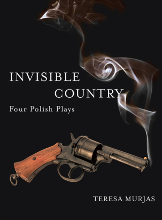 Cover image: Water watching 1st edition 9781841504148