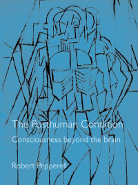 Omslagafbeelding: The Posthuman Condition 1st edition