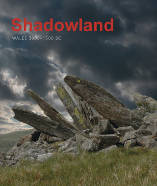 Imagen de portada: Shadowland 9781842174593