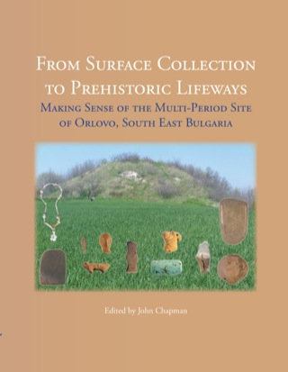 Cover image: From Surface Collection to Prehistoric Lifeways 9781842173916