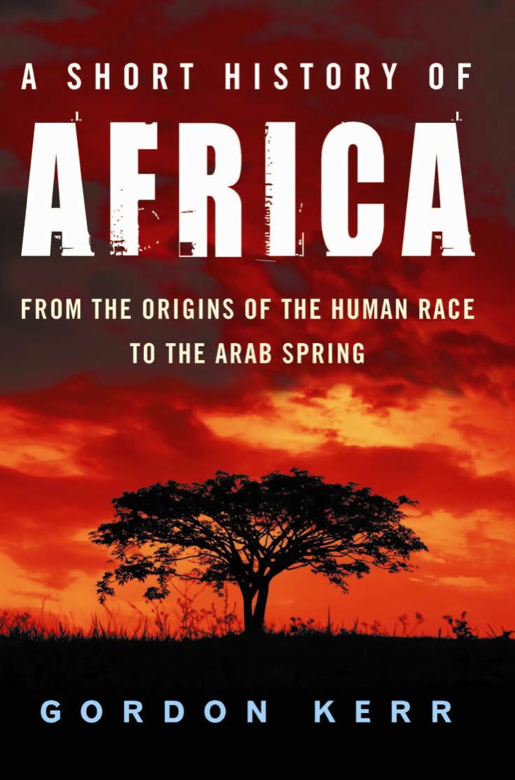 A Short History of Africa From the Origins of the Human Race to the Arab Spring 1st Edition