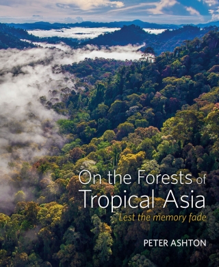 Cover image: On the Forests of Tropical Asia 9781842464755