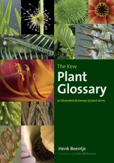 The Kew Plant Glossary: An Illustrated Dictionary of Plant Terms - FULL INSTANT DOWNLOAD | PDF DOCX EPUB