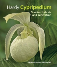 Imagen de portada: Hardy Cypripedium 9781842464649