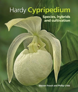 Cover image: Hardy Cypripedium 9781842464649