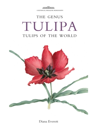 Imagen de portada: The Genus Tulipa 9781842464816