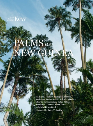 Cover image: The Palms of New Guinea 9781842468104