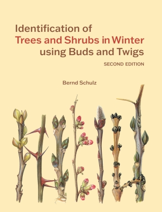 Omslagafbeelding: Identification of Trees & Shrubs in Winter Using Buds and Twigs 2nd edition 9781842468340
