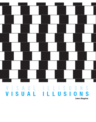 صورة الغلاف: Visual Illusions 9781844062089