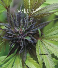 Cover image: Weed 9781844062447