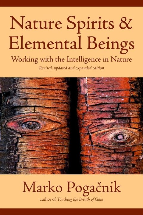 Nature Spirits & Elemental Beings: Working with the Intelligence in Nature, 2nd Edition - FULL INSTANT DOWNLOAD | PDF DOCX EPUB