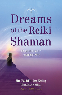 Cover image: Dreams of the Reiki Shaman 9781844095681