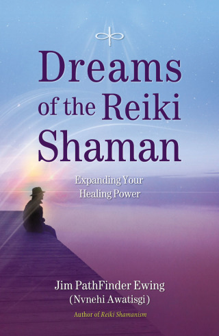 Cover image: Dreams of the Reiki Shaman 9781844095681