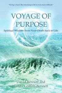 Cover image: Voyage of Purpose 9781844095650