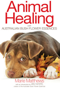 Cover image: Animal Healing with Australian Bush Flower Essences 9781844096107
