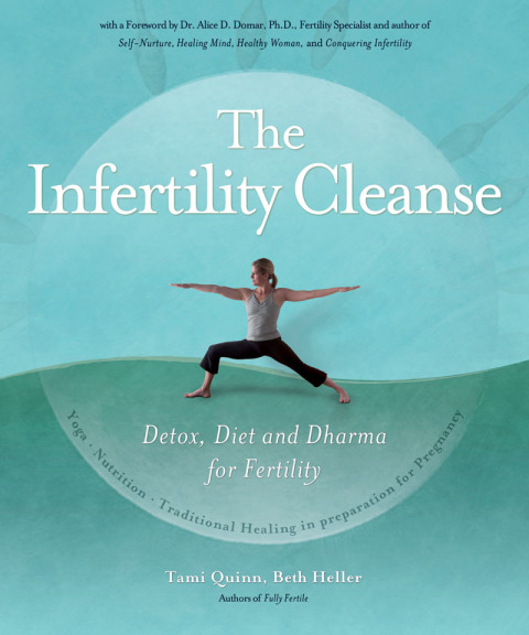 The Infertility Cleanse: Detox, Diet and Dharma for Fertility - FULL INSTANT DOWNLOAD | PDF DOCX EPUB