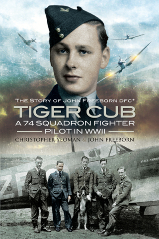 Immagine di copertina: Tiger Cub 9781848840232