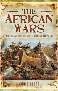 Imagen de portada: The African Wars 9781399013147