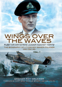 Omslagafbeelding: Wings over the Waves 9781848843059