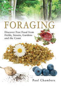 Cover image: Foraging 9781844680849