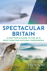 Cover image: Spectacular Britain 1st edition 9781844866342